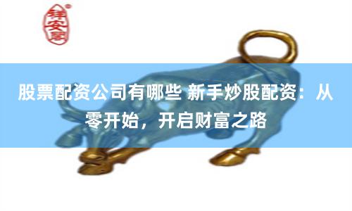 股票配资公司有哪些 新手炒股配资：从零开始，开启财富之路