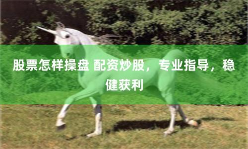 股票怎样操盘 配资炒股，专业指导，稳健获利