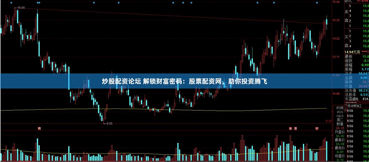 炒股配资论坛 解锁财富密码：股票配资网，助你投资腾飞